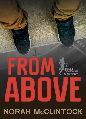 [A Riley Donovan Mystery 02] • From Above